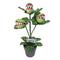 23&#x22; Potted Venus Flytrap with Feed Me Sign by Ashland&#xAE;